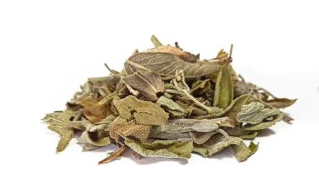 Φασκόμηλο Αποξηραμένο | Premium Dried Sage Leaves - Renteana