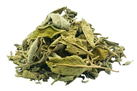 Sage | Premium Greek Herbs