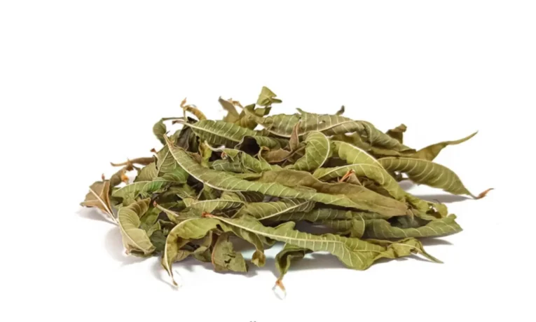 Λουίζα Αποξηραμένη | Premium Dried Lemon Verbena - Renteana