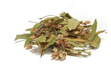 Τίλιο Αποξηραμένο | Premium Dried Linden Flowers - Renteana