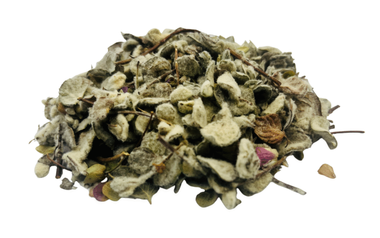 δικταμο final