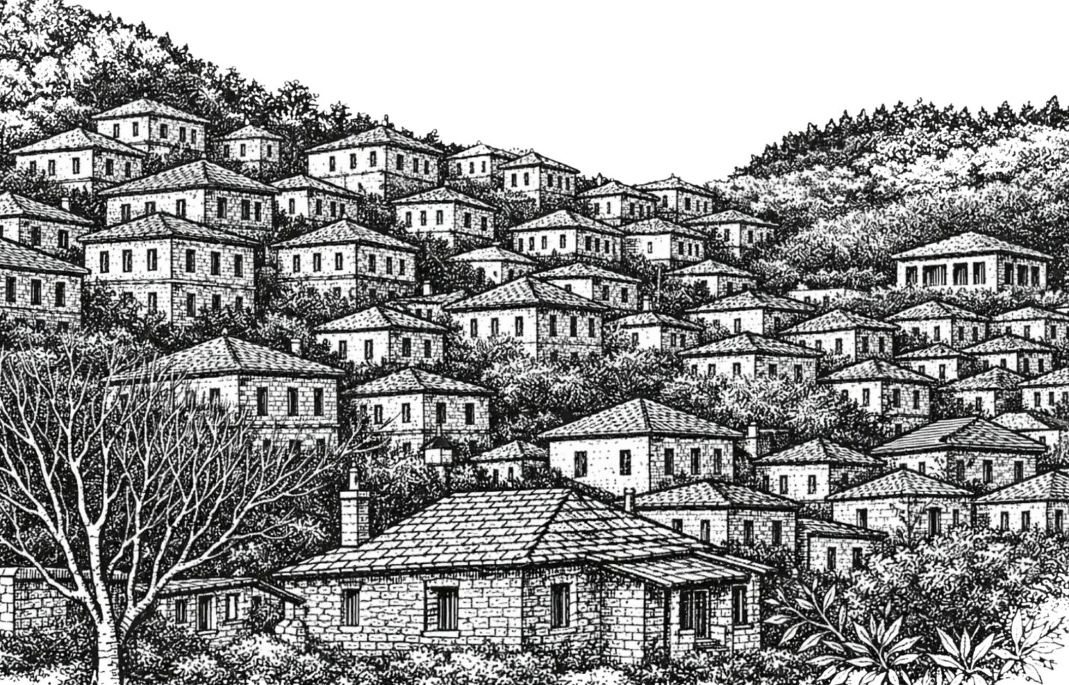 Renteana natural Greek herbal tea inspired by the mountains of Greece