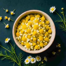 Pure & Single-Origin Herbs