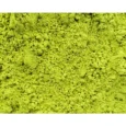 Μεταξένια πράσινη σκόνη ιαπωνικού Matcha Renteana με αναδευτήρα bamboo chasen. Pure green Matcha powder texture with bamboo whisk.