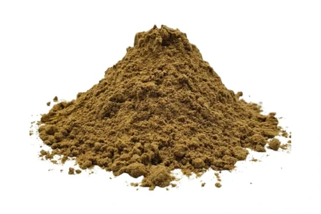 Cacao Chai Elixir | Superfood & Botanical Blend