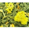 Χύμα μείγμα τσαγιού Sunbeam Green Renteana με φύλλα πράσινου τσαγιού, φλούδες λεμονιού, λεμονόχορτο και κίτρινα πέταλα ελίχρυσου και ηλίανθου. Loose leaf Sunbeam Green tea with lemon peel, lemongrass, and golden petals.