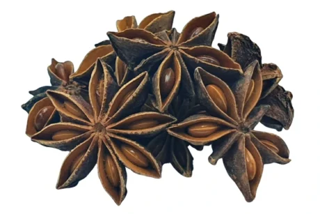 Star Anise | Premium World Spices