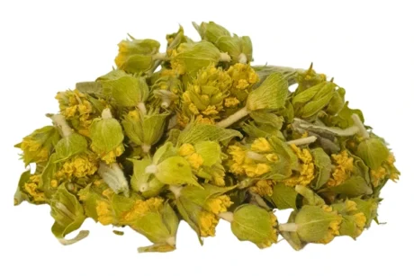 Mountain Tea | Premium Greek Herbs